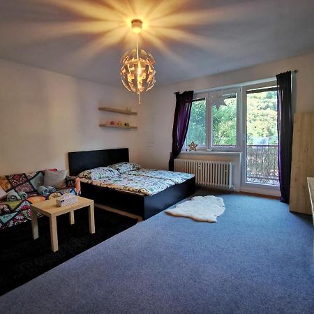 Cely Apartman Podlesi 54M2 S Dvema Balkony A S Novou Manzelskou Posteli, Zatim Neni Na Fotkach Lägenhet Brno Exteriör bild